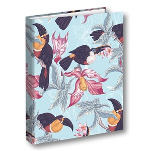 Obrazek SEGREGATOR A4/2 T 0123 TUKAN FOLIA MAT NIERYSUJĄCA