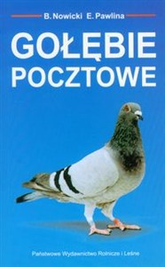 Obrazek Gołębie pocztowe