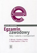 Egzamin za... - Jadwiga Brzózka Piotr Wilczak -  books in polish 