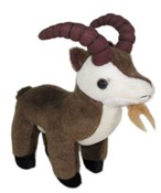 Kozica 22c... -  books in polish 