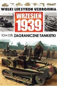 Wielki Lek... - Krzysztof Jan Margasiński -  books from Poland