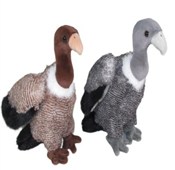 Sęp 25cm M... -  foreign books in polish 