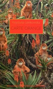 Picture of Carte Orange