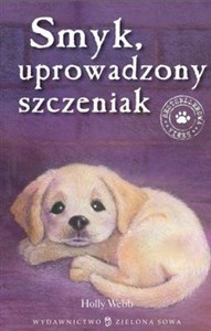 Picture of Smyk uprowadzony szczeniak Zaopiekuj się mną!