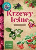 polish book : Krzewy leś... - Tomasz Hryniewicki