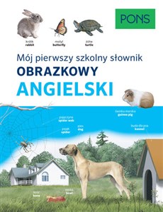 Picture of Słownik obrazkowy szkolny angielski