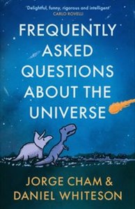 Picture of Frequently Asked Questions About the Universe
