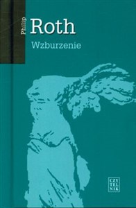 Picture of Wzburzenie