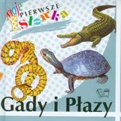 Zobacz : Gady i pła...