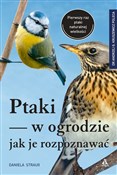 Ptaki w og... - Daniela Strauß -  Polish Bookstore 