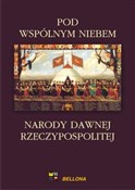 Pod wspóln... - Michał Kopczyński, Wojciech Tygielski -  Polish Bookstore 