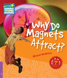 Obrazek Why Do Magnets Attract? Level 4 Factbook