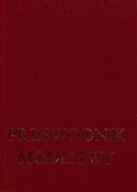 polish book : Przewodnik... - James Socias, Jan Odogherty