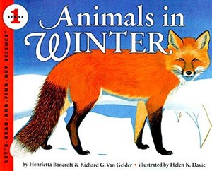 Obrazek Animals in Winter