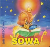 Zobacz : Sowa - Jan Brzechwa