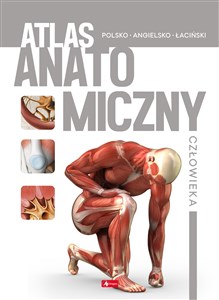 Picture of Atlas anatomiczny człowieka