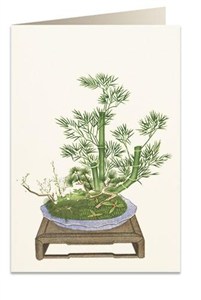 Obrazek Karnet B6 + koperta 6013 Bambus