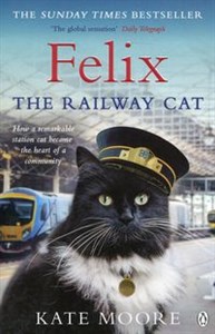 Picture of Felix the Railway Cat