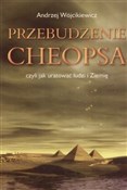 Polska książka : Przebudzen... - Andrzej Wójcikiewicz