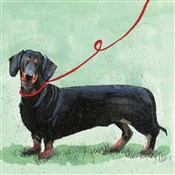 Polska książka : Karnet Jam...