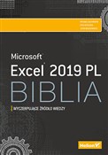 Polska książka : Excel 2019... - Michael Alexander, Dick Kusleika, John Walkenbach