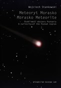 Książka : Meteoryt M... - Wojciech Stankowski