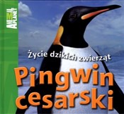 Pingwin ce... - Meredith Costain -  books in polish 