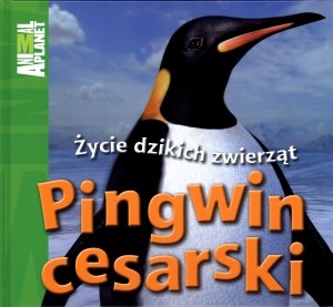 Obrazek Pingwin cesarski Życie dzikich zwierząt