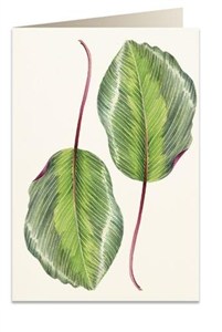 Picture of Karnet B6 + koperta 6016 Kalatea