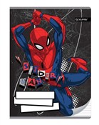 polish book : Zeszyt A5/...