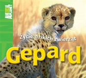 Gepard Życ... - Meredith Costain - Ksiegarnia w UK