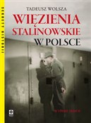 Więzienia ... - Tadeusz Wolsza -  books in polish 