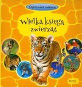 polish book : Wielka ksi... - Antje Kleinelumern-Depping, Christina Langner