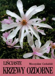 Picture of Liściaste krzewy ozdobne