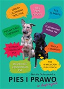 Pies i pra... - Natalia Dobrowolska -  books from Poland