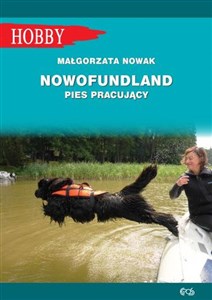 Picture of Nowofundlad pies pracujący