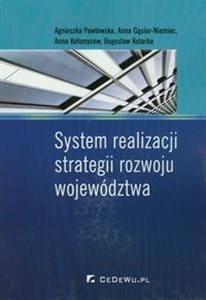 Obrazek System realizacji strategii rozwoju województwa