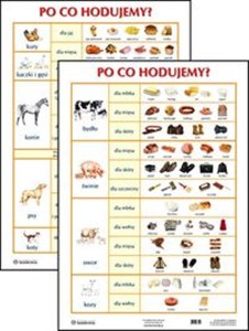 Picture of Plansza Po co hodujemy?