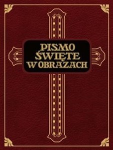 Obrazek Pismo Święte w obrazach. Dzieje ST i NT