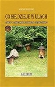 Picture of Co się dzieje w ulach