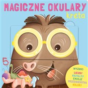 Polska książka : Magiczne o... - Luca Leone, Paolo Mancini