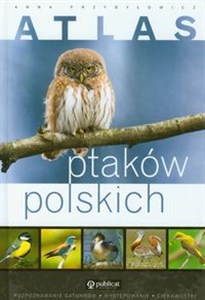 Picture of Atlas ptaków polskich