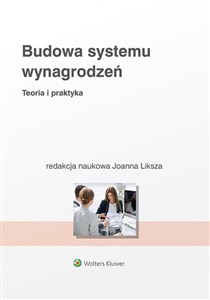 Picture of Budowa systemu wynagrodzeń Teoria i praktyka