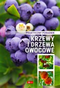 polish book : Krzewy i d... - Opracowanie Zbiorowe