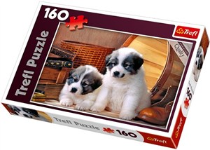 Obrazek Puzzle Bernardynki 160