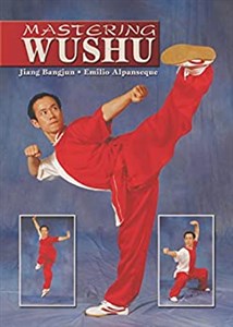 Obrazek Mastering Wushu