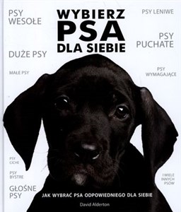 Picture of Wybierz psa dla siebie Jak wybrać psa odpowiedniego dla siebie