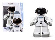 Robot Silv... - Ksiegarnia w UK