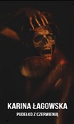 Polska książka : Pudełko z ... - Karina Łagowska