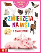 Wszystko w... - Opracowanie Zbiorowe -  Polish Bookstore 